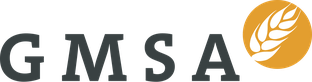 GMSA